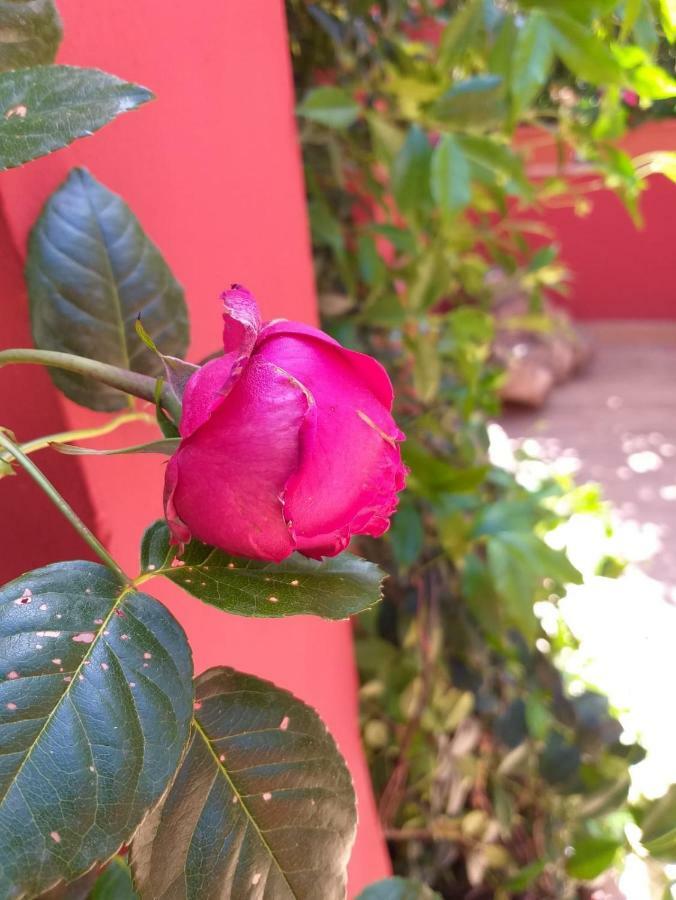 Casa In Monti Guest house *
